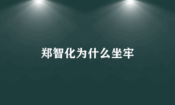 郑智化为什么坐牢