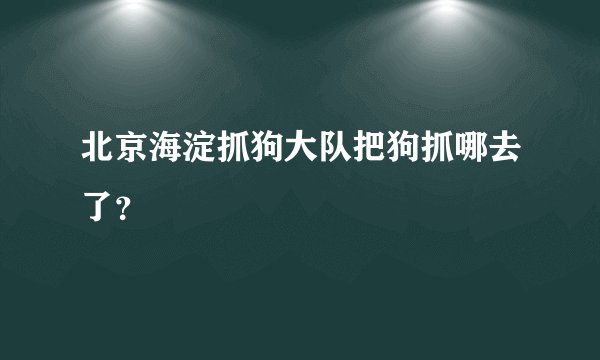 北京海淀抓狗大队把狗抓哪去了？