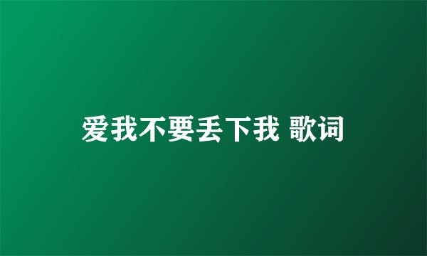 爱我不要丢下我 歌词