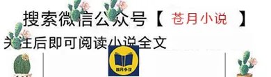 我与你的情深似海顾轻舟免费阅读
