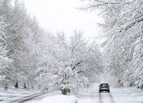 安徽暴雪已致4人死亡了吗?