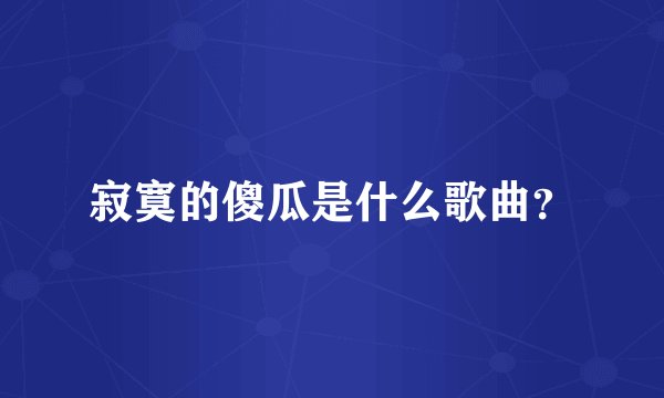 寂寞的傻瓜是什么歌曲？