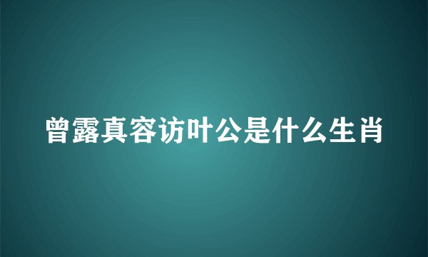 曾露真容访叶公是什么生肖