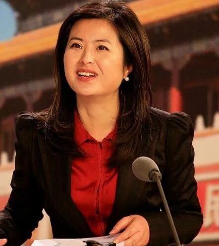 央视主持人张泉灵简历 离职央视从头再来