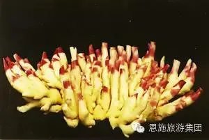 恩施有哪些土特产？