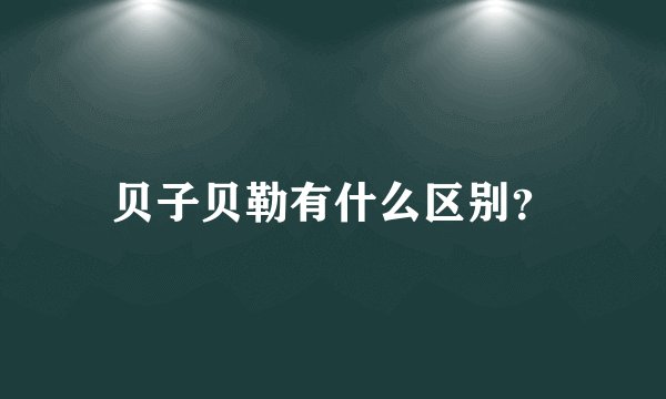 贝子贝勒有什么区别？