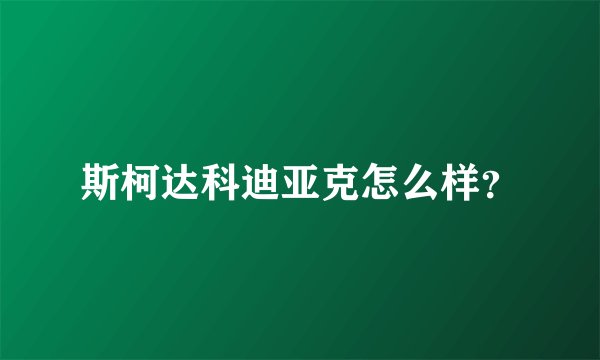 斯柯达科迪亚克怎么样？