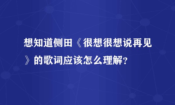 想知道侧田《很想很想说再见》的歌词应该怎么理解？
