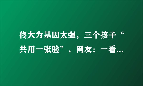佟大为基因太强，三个孩子“共用一张脸”，网友：一看就是亲生的