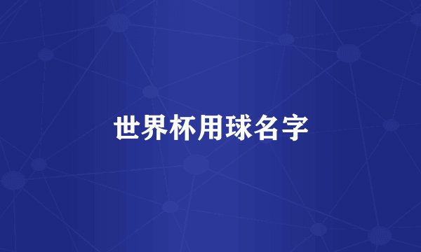 世界杯用球名字