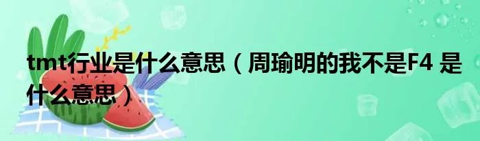 tmt行业是什么意思（周瑜明的我不是F4 是什么意思）