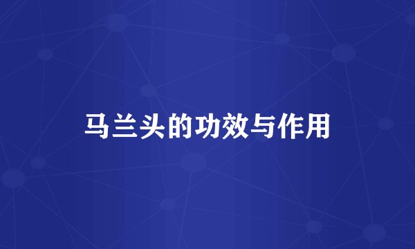 马兰头的功效与作用