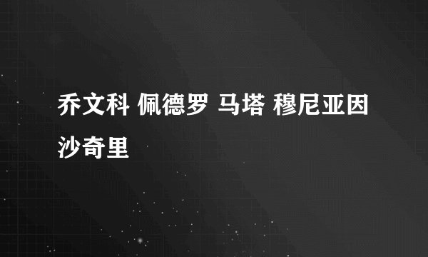 乔文科 佩德罗 马塔 穆尼亚因 沙奇里
