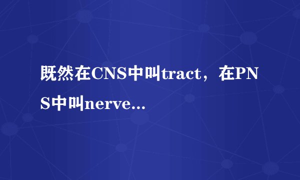 既然在CNS中叫tract，在PNS中叫nerve，那么脑中的optic nerve算是PNS吗？