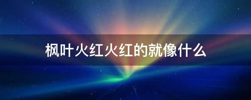 枫叶火红火红的就像什么