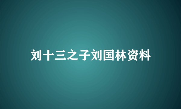 刘十三之子刘国林资料