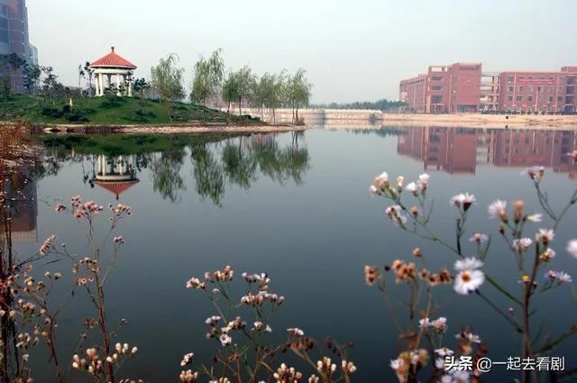 滨州学院怎么样?