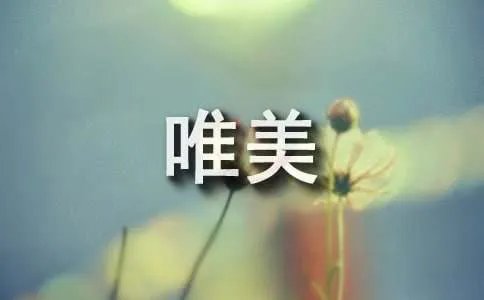 唯美文章人生感悟