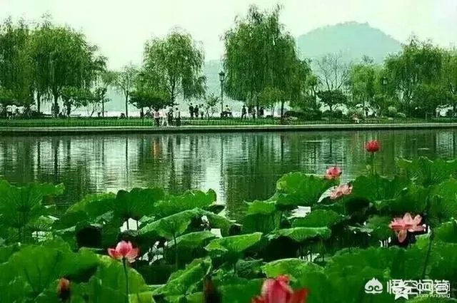 上联：南国灯城自贡美，如何对下联？