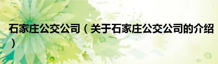 石家庄公交公司（关于石家庄公交公司的介绍）
