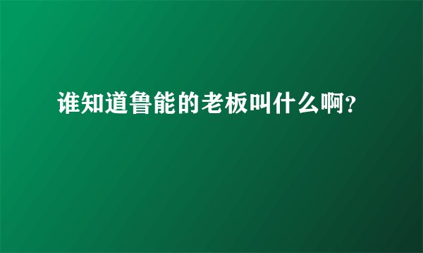 谁知道鲁能的老板叫什么啊？
