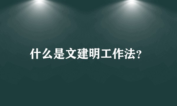 什么是文建明工作法？