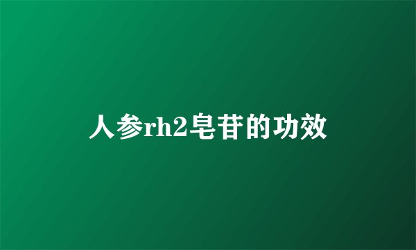 人参rh2皂苷的功效