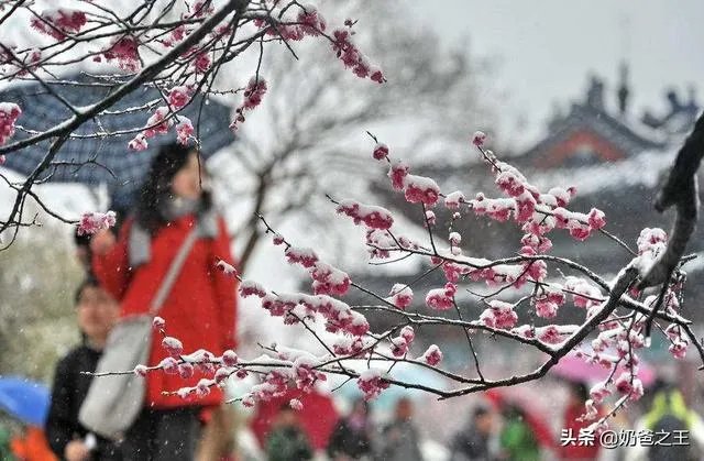 请问文史、文学、文化三者之间的区别与联系？