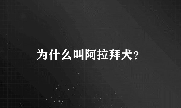 为什么叫阿拉拜犬？