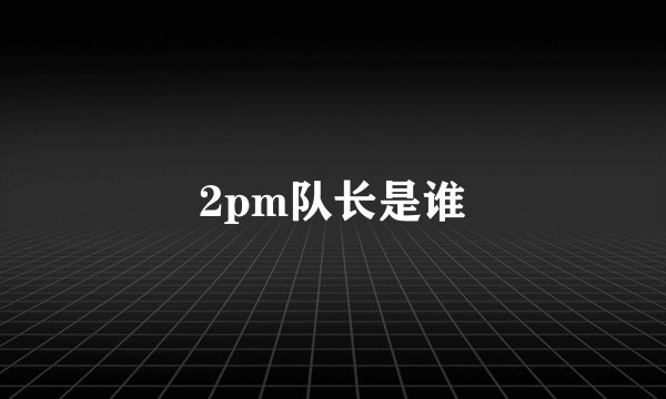 2pm队长是谁