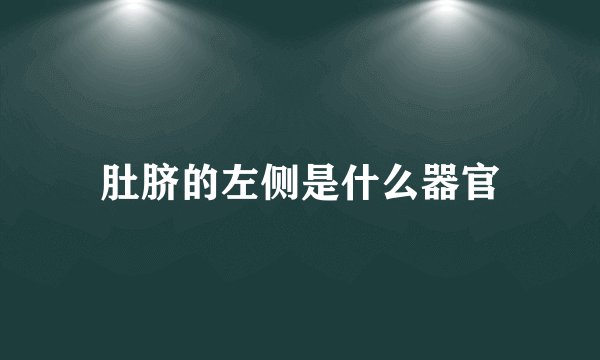 肚脐的左侧是什么器官