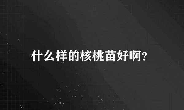 什么样的核桃苗好啊？