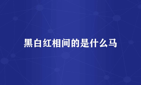 黑白红相间的是什么马