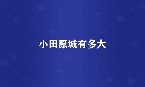 小田原城有多大