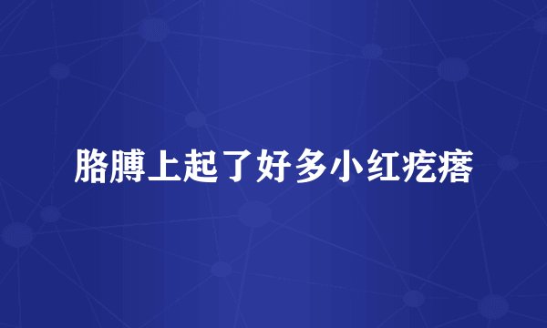 胳膊上起了好多小红疙瘩