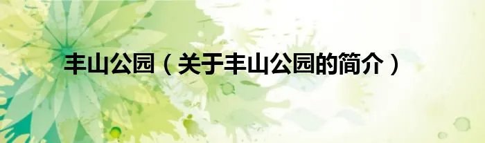 丰山公园（关于丰山公园的简介）