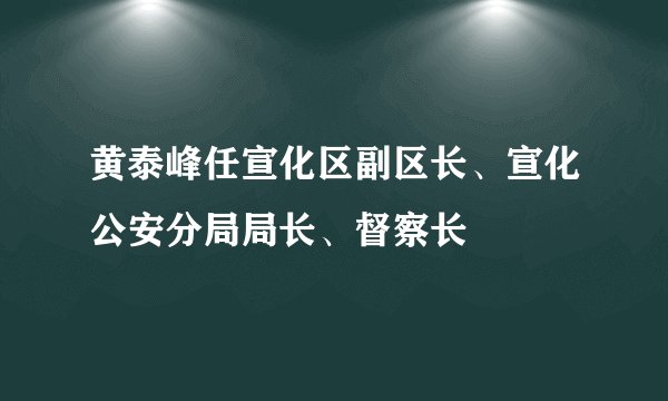 黄泰峰任宣化区副区长、宣化公安分局局长、督察长
