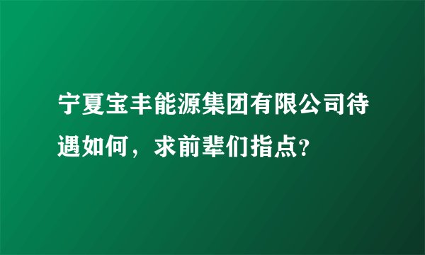 宁夏宝丰能源集团有限公司待遇如何，求前辈们指点？