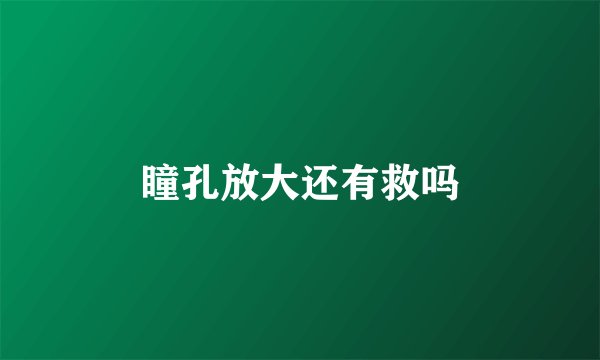瞳孔放大还有救吗