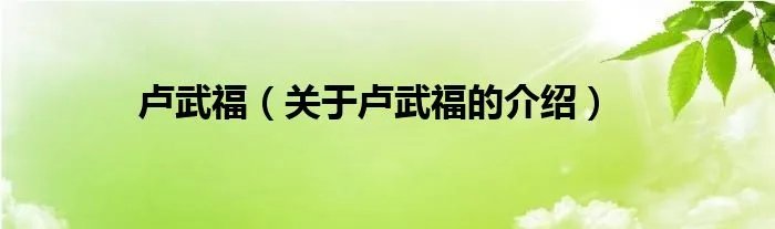 卢武福（关于卢武福的介绍）