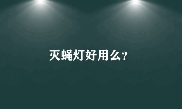 灭蝇灯好用么？