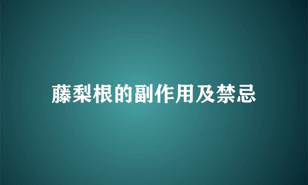 藤梨根的副作用及禁忌