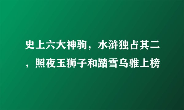 史上六大神驹，水浒独占其二，照夜玉狮子和踏雪乌骓上榜