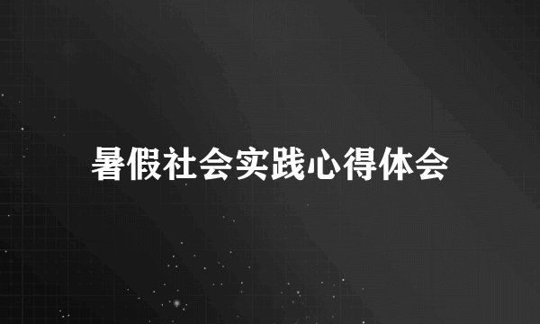 暑假社会实践心得体会