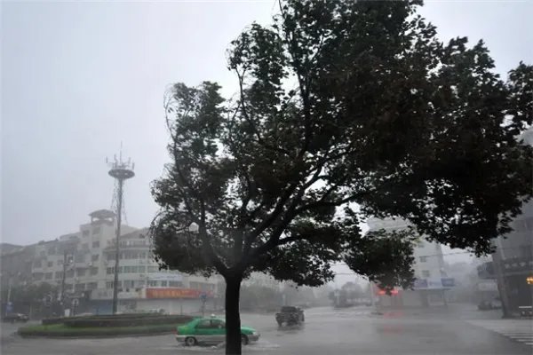 中国历史上最强台风排行:桑美上榜,第一使城市内部变海
