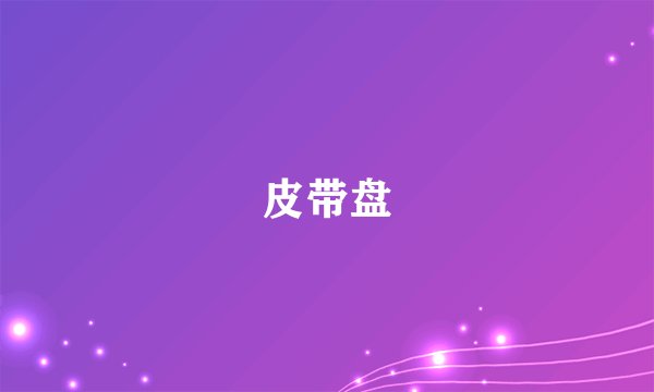 皮带盘