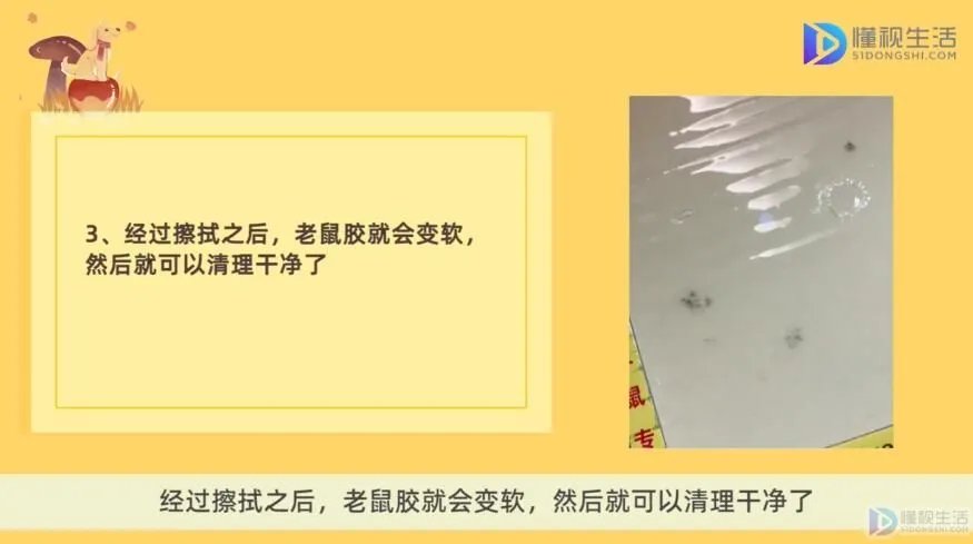 粘上老鼠胶怎样去除