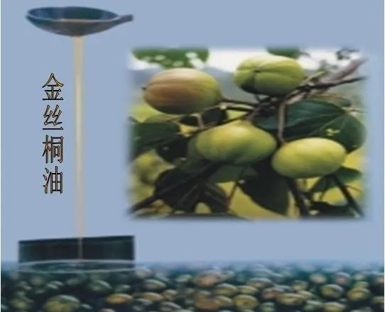 恩施有哪些土特产？