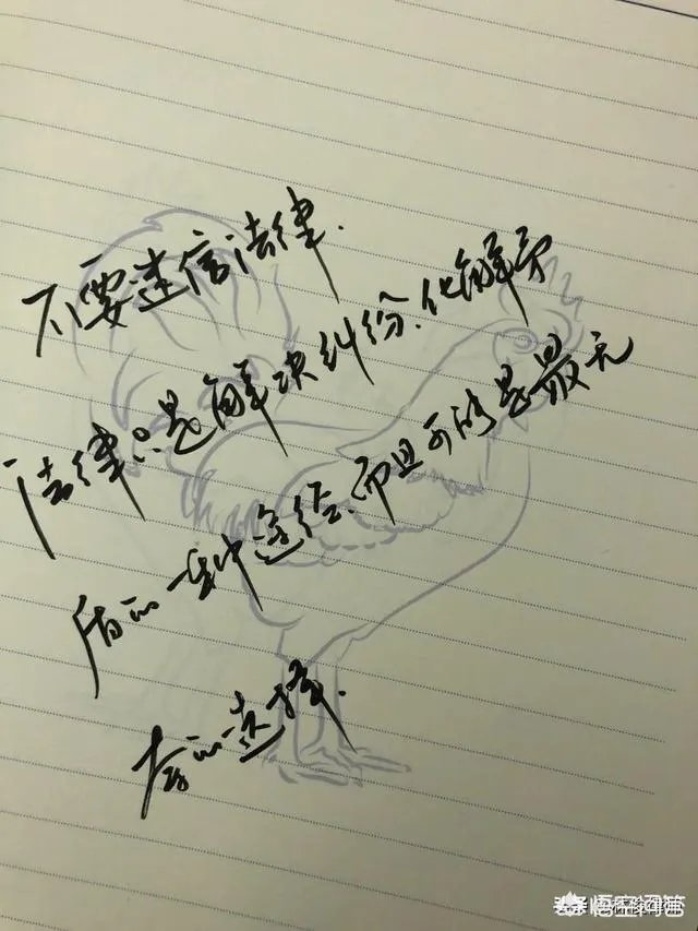 如何看奔驰维权女车主薛春艳开微博发讨伐檄文遭大型翻车现场？