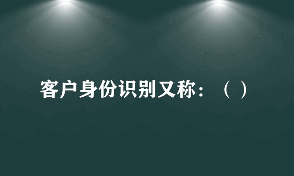 客户身份识别又称：（）